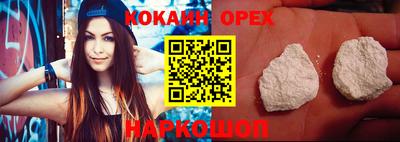 молекула духа Кингисепп