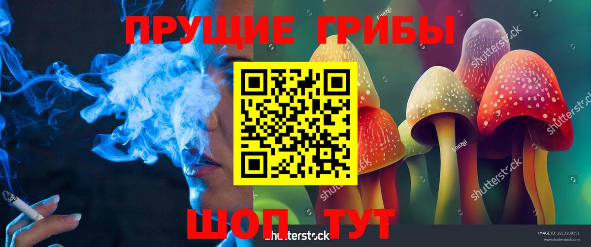 Лангепас  Галлюциногенные грибы Cubensis  Вход с VPN 